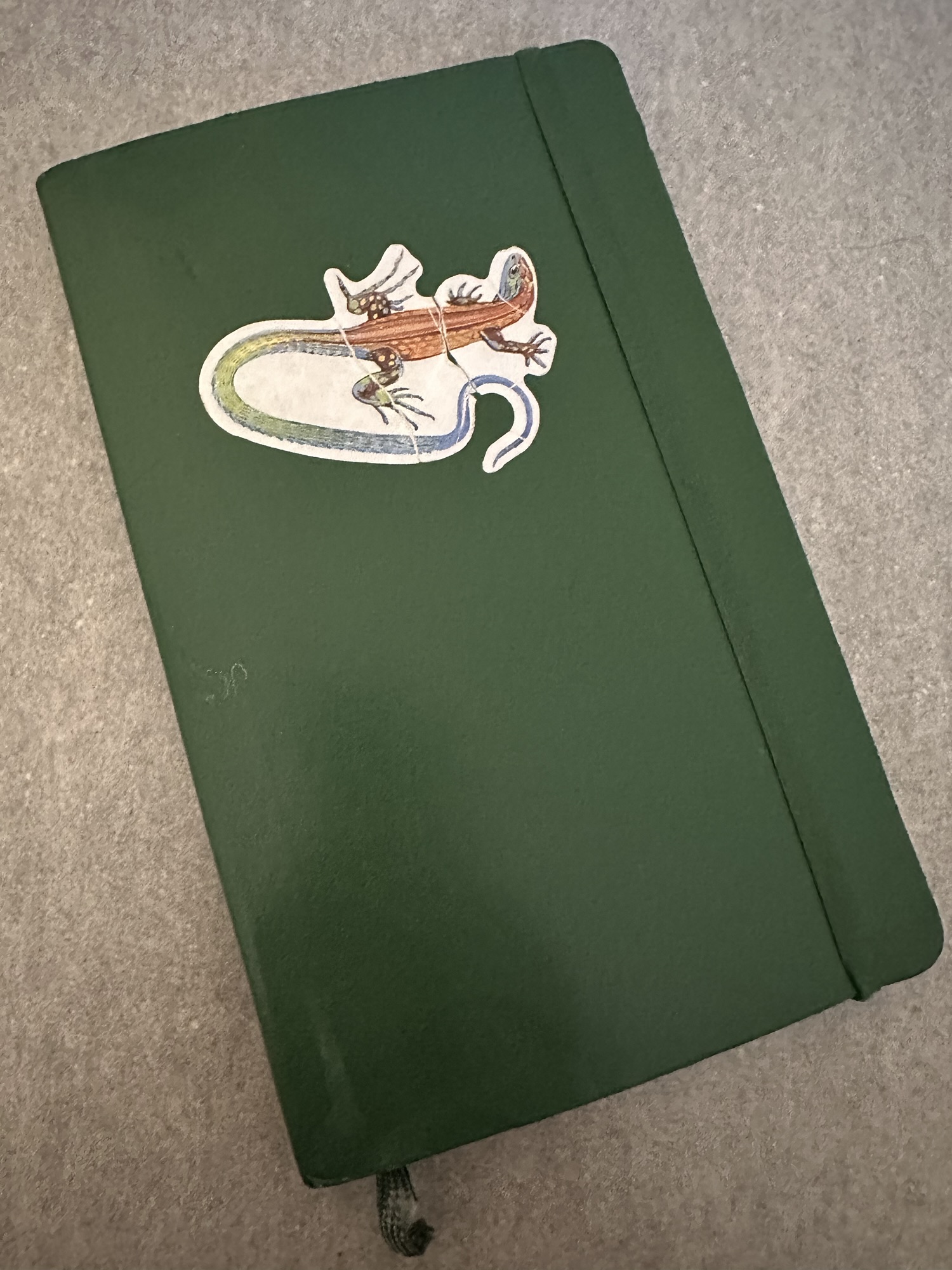 Journaling: Or How I Found My Way back to My Source