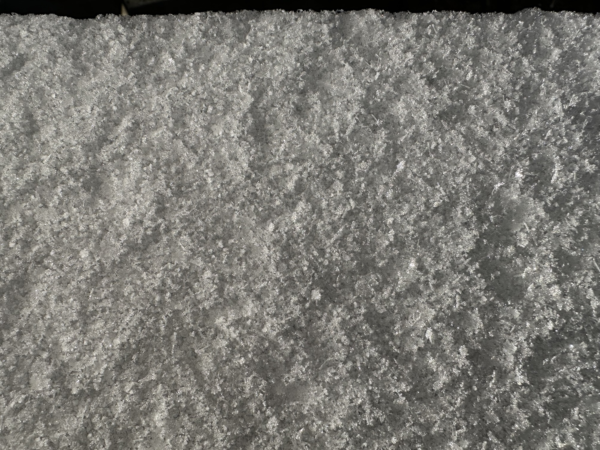 End-of-the-Year Post: Make 2026 a Year of Poetry